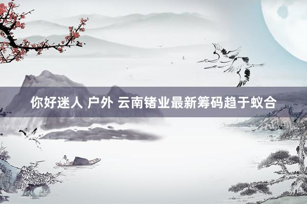 你好迷人 户外 云南锗业最新筹码趋于蚁合