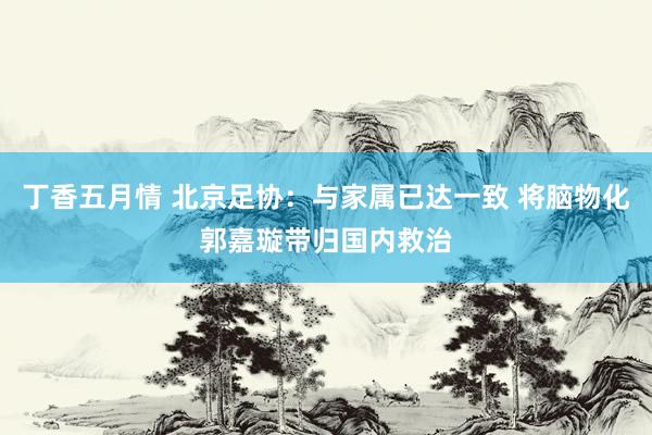 丁香五月情 北京足协：与家属已达一致 将脑物化郭嘉璇带归国内救治