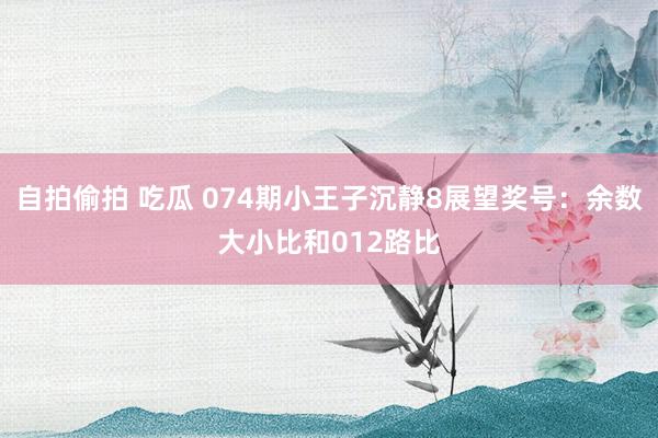 自拍偷拍 吃瓜 074期小王子沉静8展望奖号：余数大小比和012路比